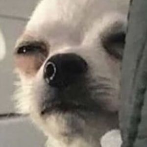 Meet your Posher, Braedan